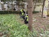 文章附图