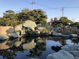文章附图