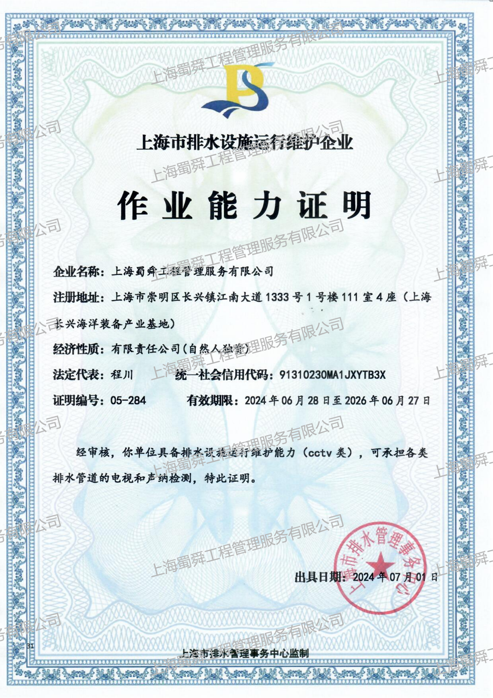 CCTV水印.png